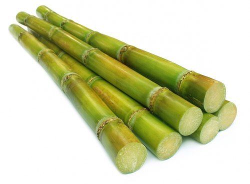 Premium Sugarcane
